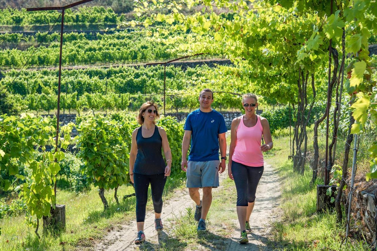 Six Senses Douro Valley Lamego Esterno foto